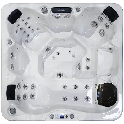 Avalon EC-849L hot tubs for sale in Lake Forest