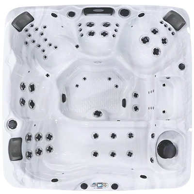 Avalon EC-867L hot tubs for sale in Lake Forest