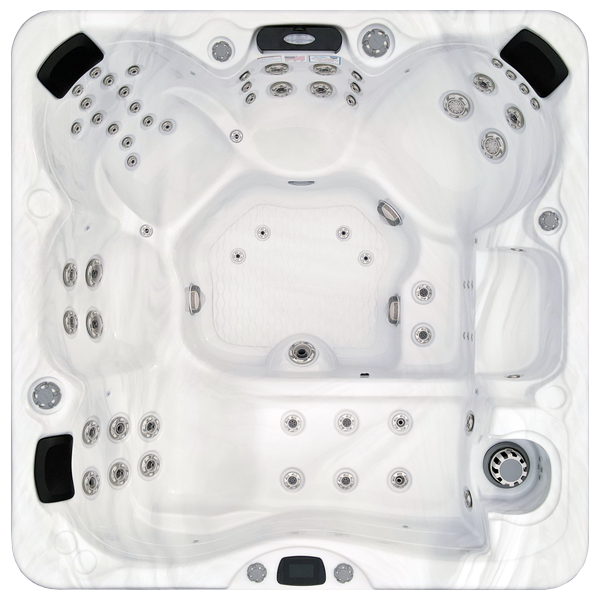 Avalon-X EC-867LX hot tubs for sale in Lake Forest